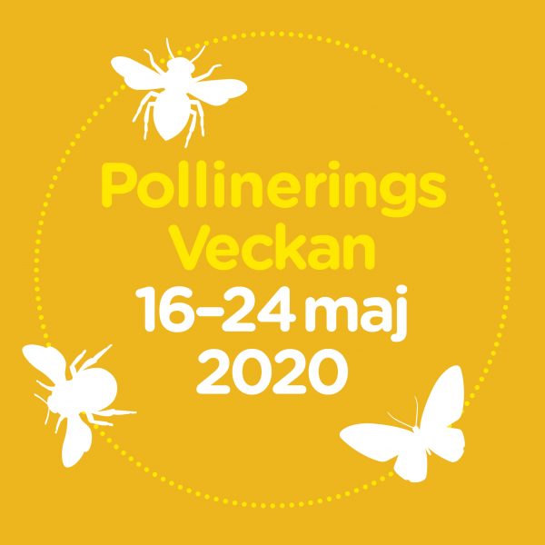 Pollineringsveckan 2020