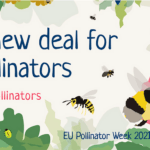 EU Pollinator Week