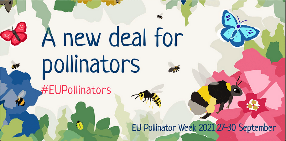 EU Pollinator Week 2021
