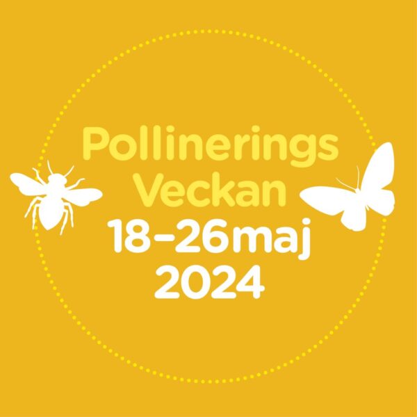 Pollineringsveckan 2024